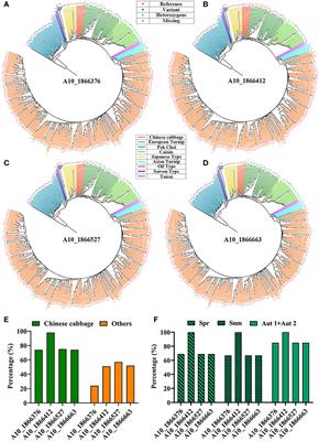 Brassica rapa orphan gene BR1 delays flowering time in Arabidopsis